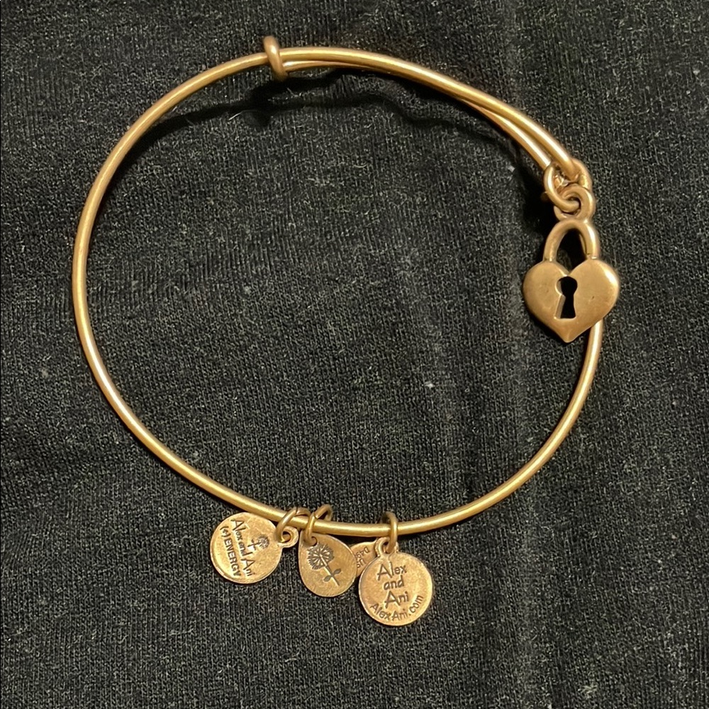 Alex and Ani Gold Minimalist Charm Bracelet